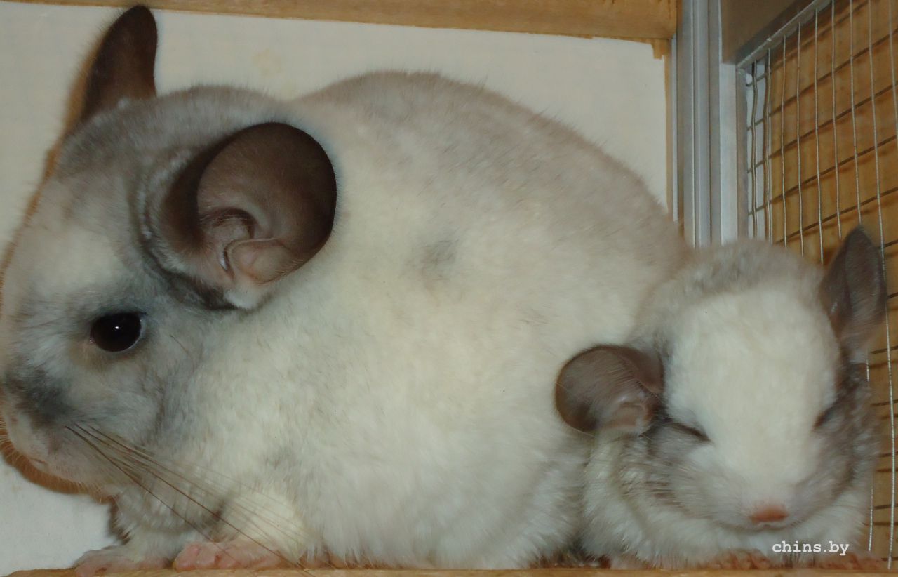 DSC02871.JPG