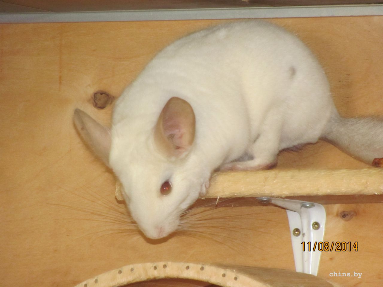 Изображение 1702.jpg