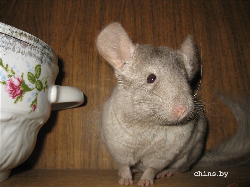 71b4fcd4226c (1).jpg