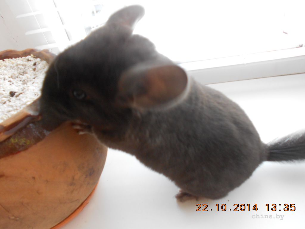 DSCN3576.JPG