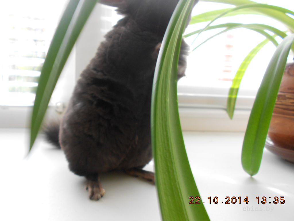 DSCN3574.JPG