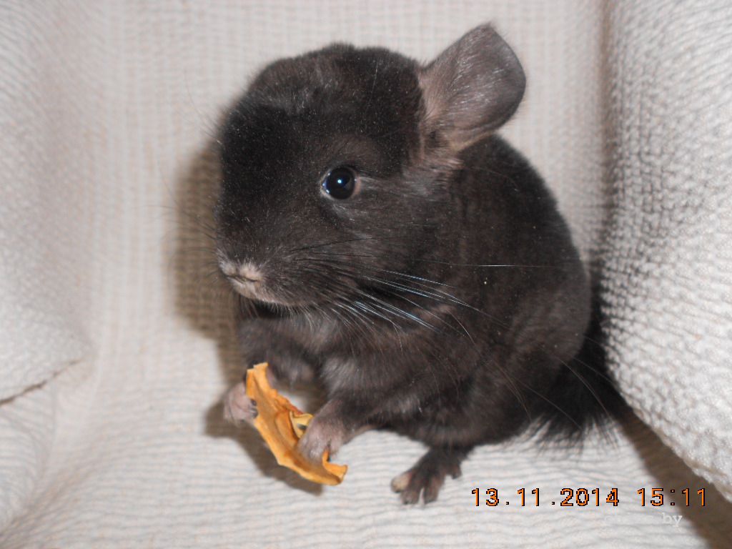 DSCN3794.JPG