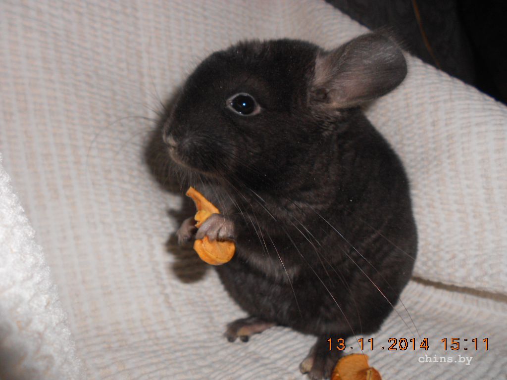 DSCN3795.JPG