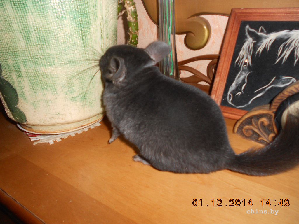 DSCN3885.JPG