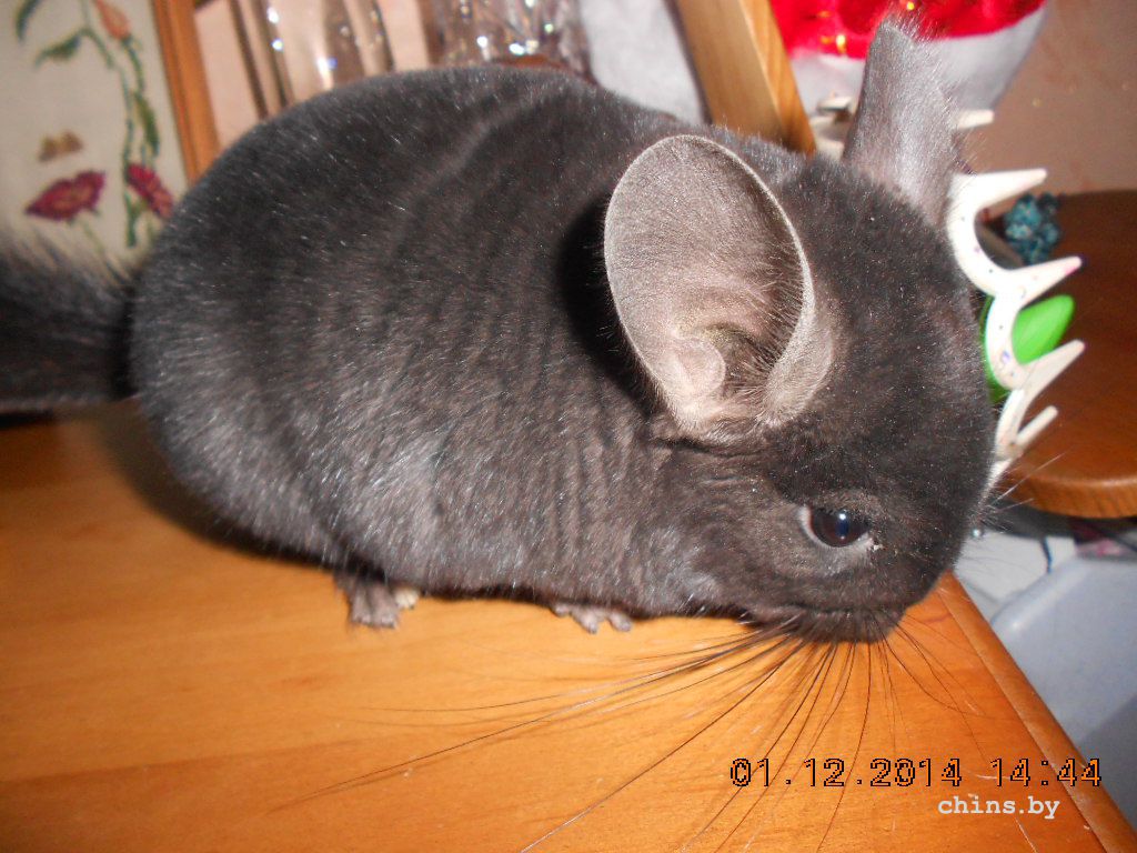 DSCN3891.JPG