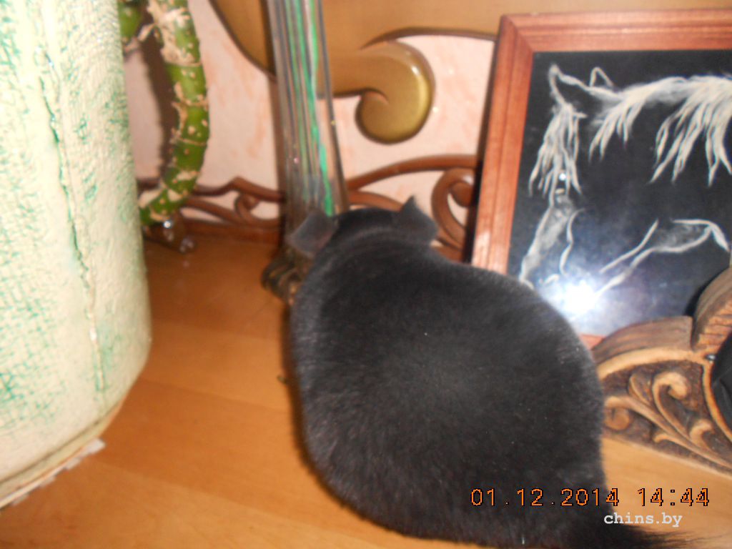 DSCN3890.JPG