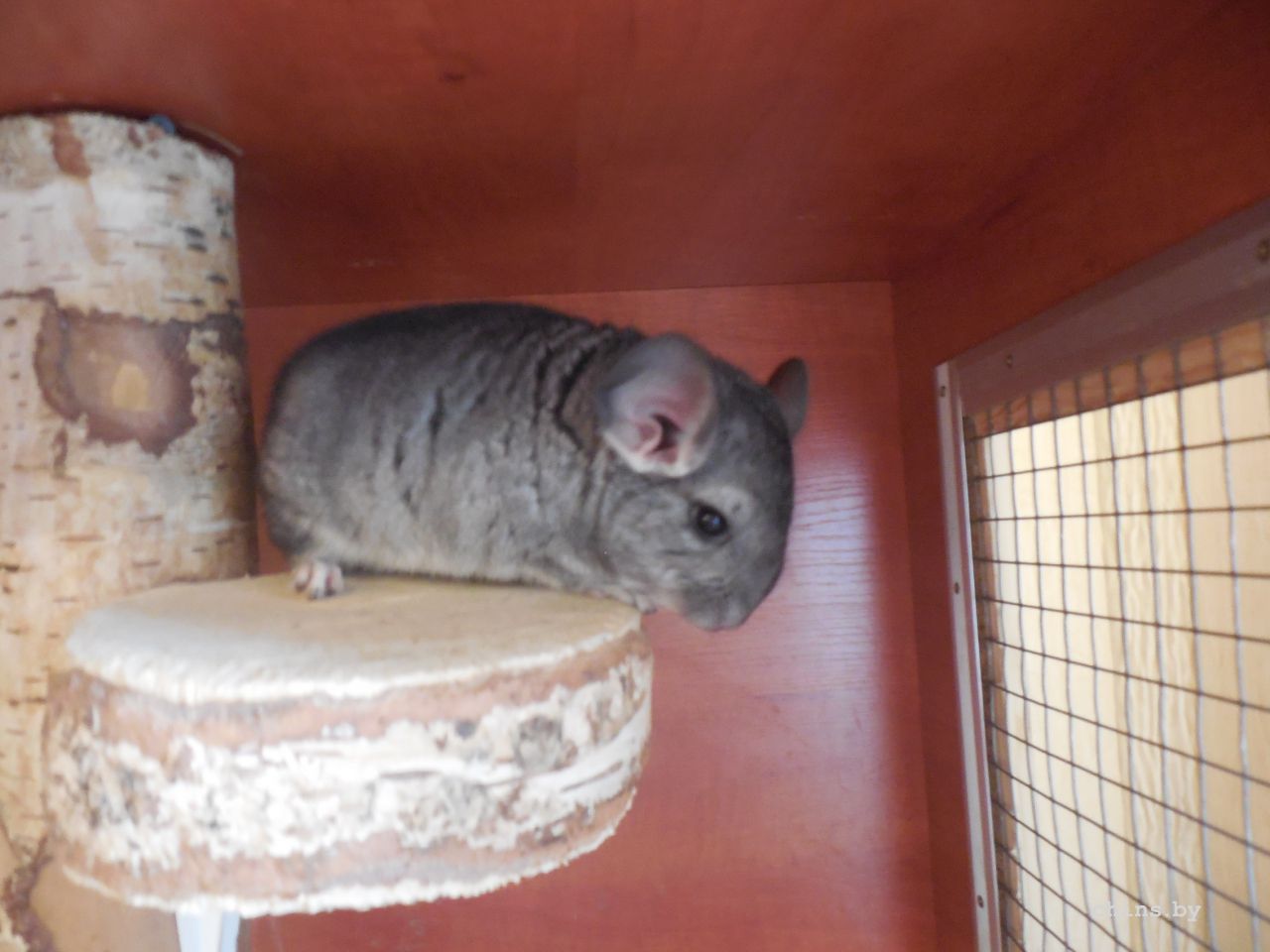 Изображение 448.jpg