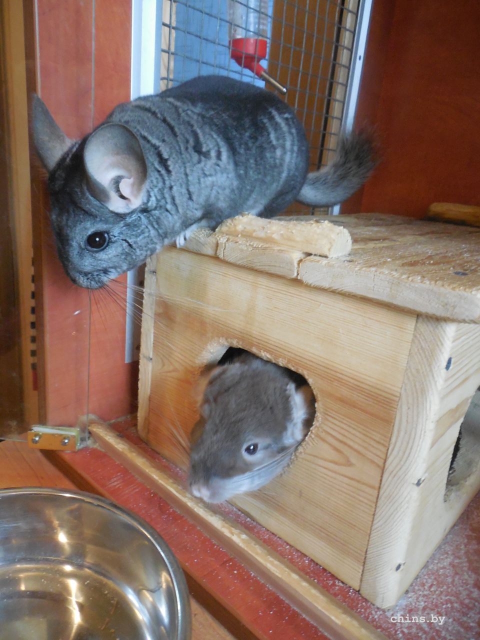 Изображение 459.jpg