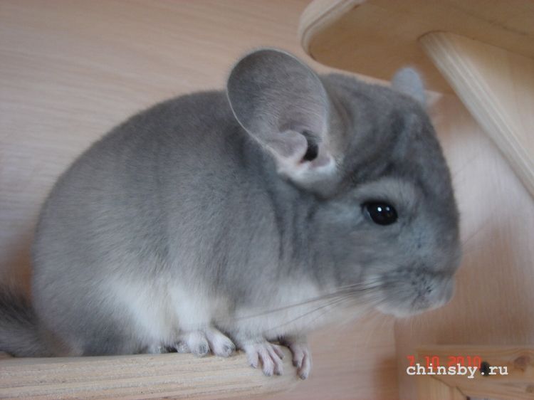 Изображение 139.jpg