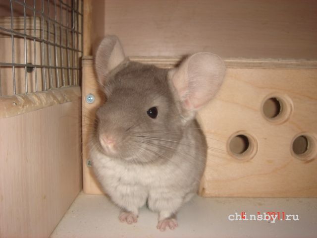 Изображение 1215.jpg