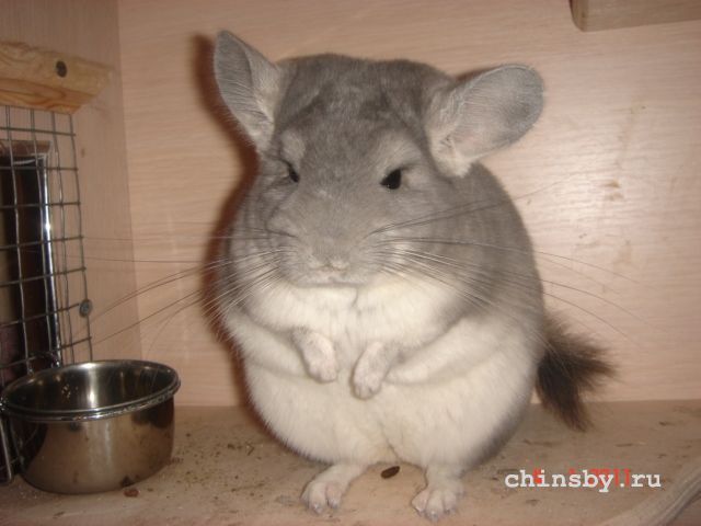 Изображение 1211.jpg