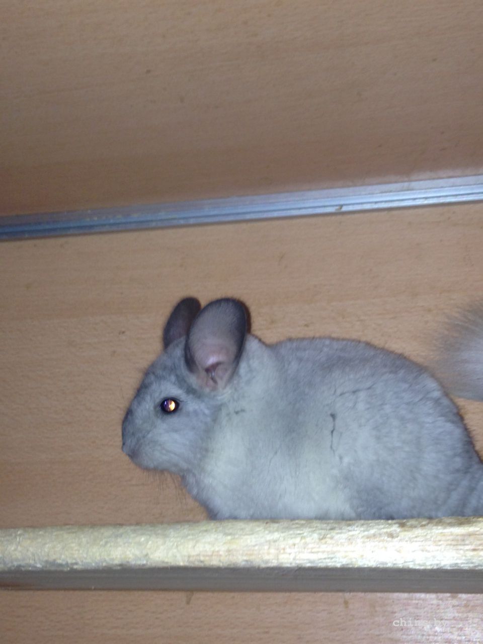 2014-10-30 21.10.06.jpg