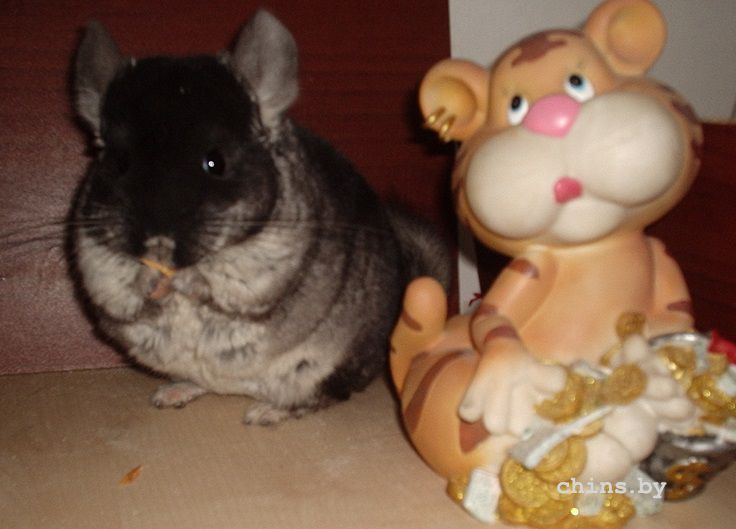 посслледн 017.JPG