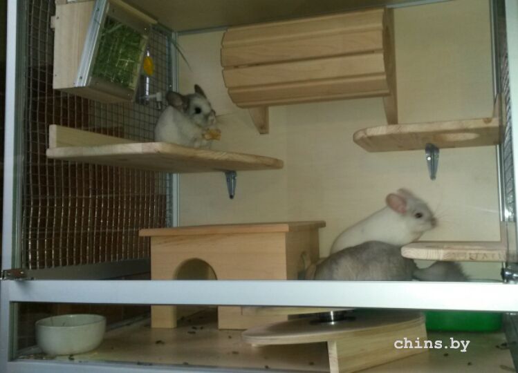 2015-06-04 20.53.34.jpg