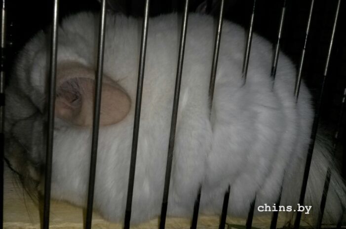 2015-09-08 22.55.37.jpg