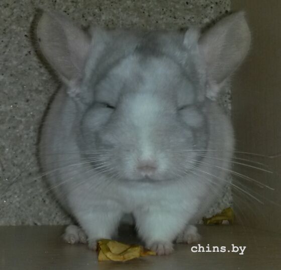 2015-09-12 19.28.53.jpg