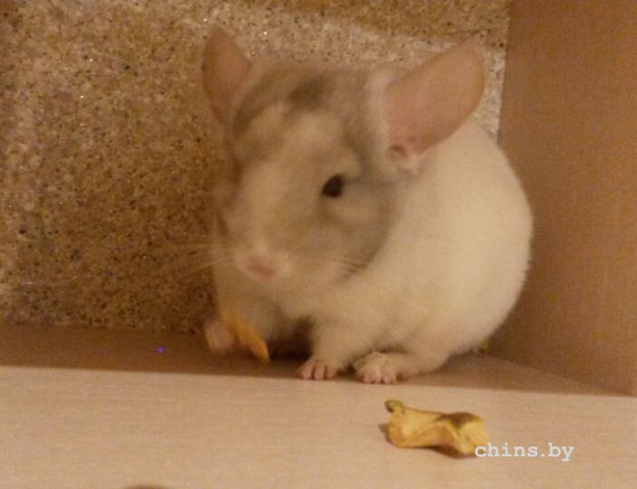 2015-09-12 19.29.19.jpg