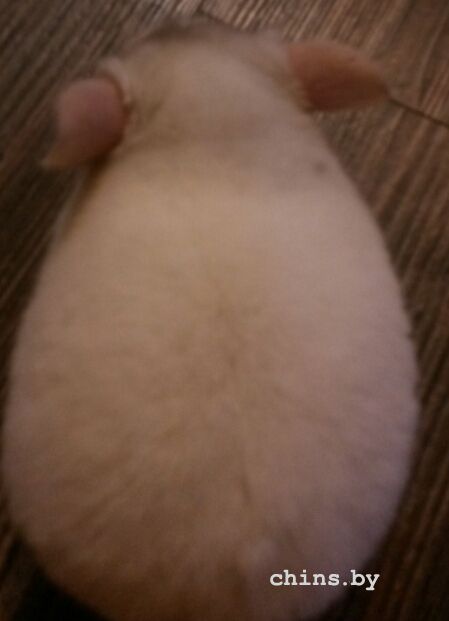 2015-09-12 19.25.06.jpg