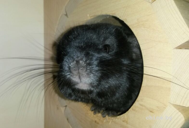 2015-10-03 19.55.10.jpg