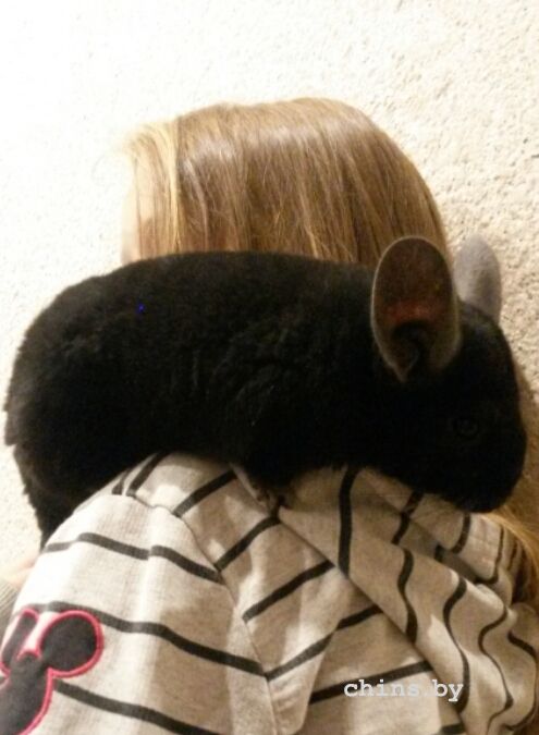 2015-10-07 10.25.56.jpg