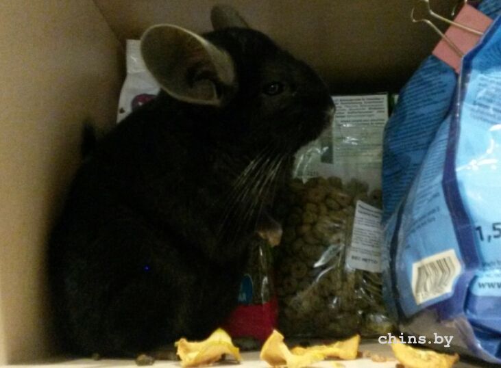 2015-10-07 10.21.57.jpg