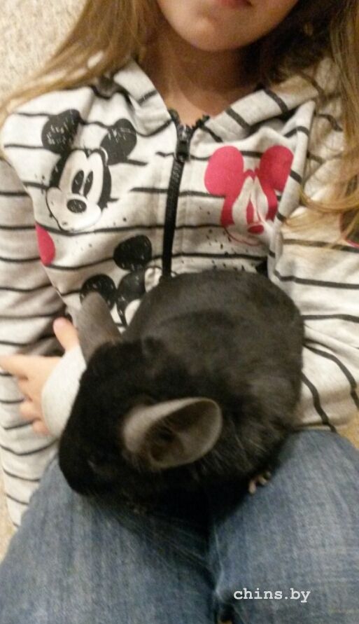 2015-10-07 10.32.46.jpg