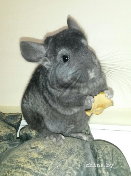 2015-10-07 11.57.41.jpg