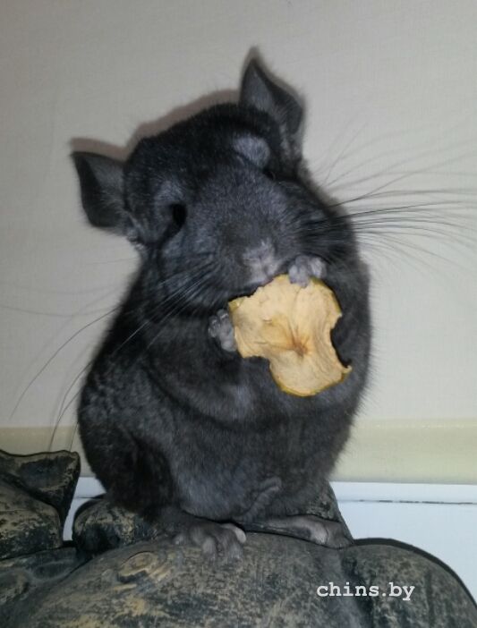 2015-10-07 11.58.13.jpg