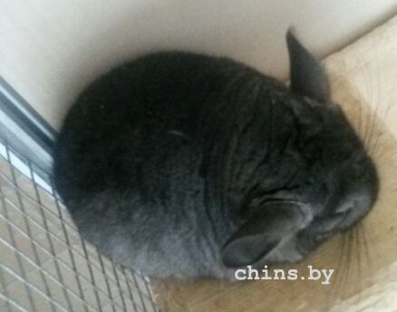 2015-10-24 11.27.48.jpg