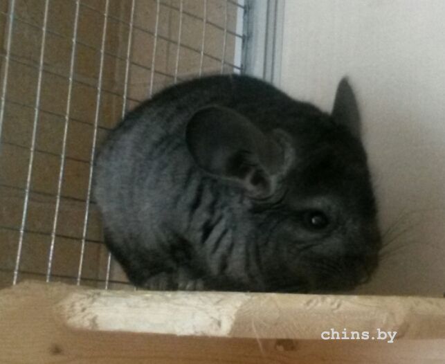 2015-10-24 11.30.05.jpg