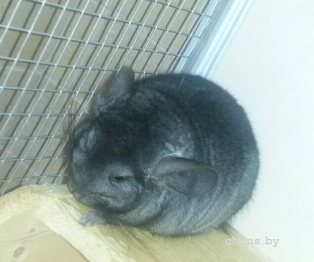 2015-10-24 11.31.31.jpg