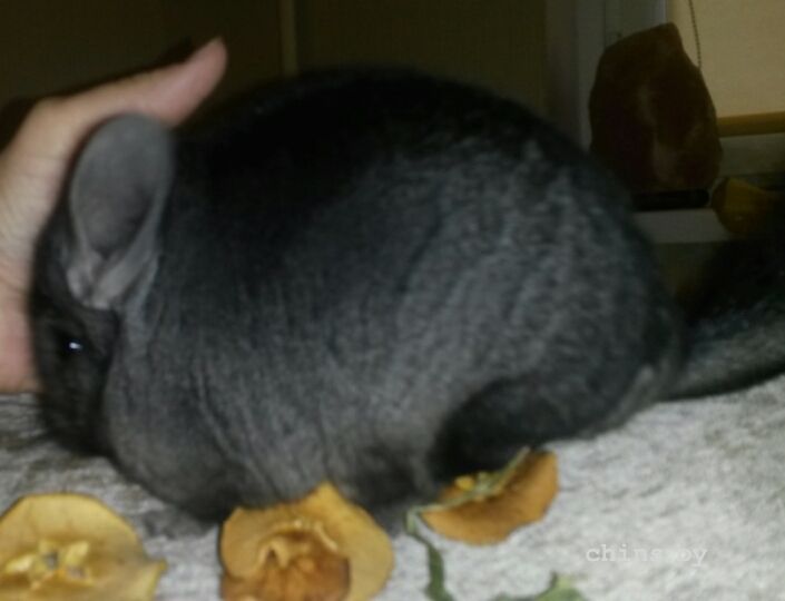 2015-11-22 16.01.37.jpg