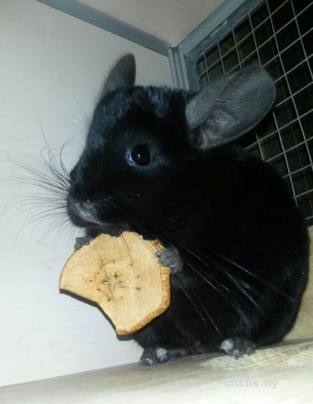 2015-12-23 18.32.01.jpg