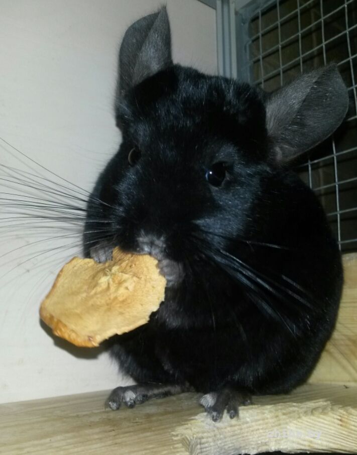 2015-12-23 18.43.26.jpg