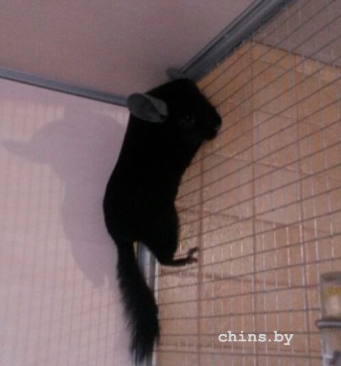 2016-02-08 08.06.05.jpg