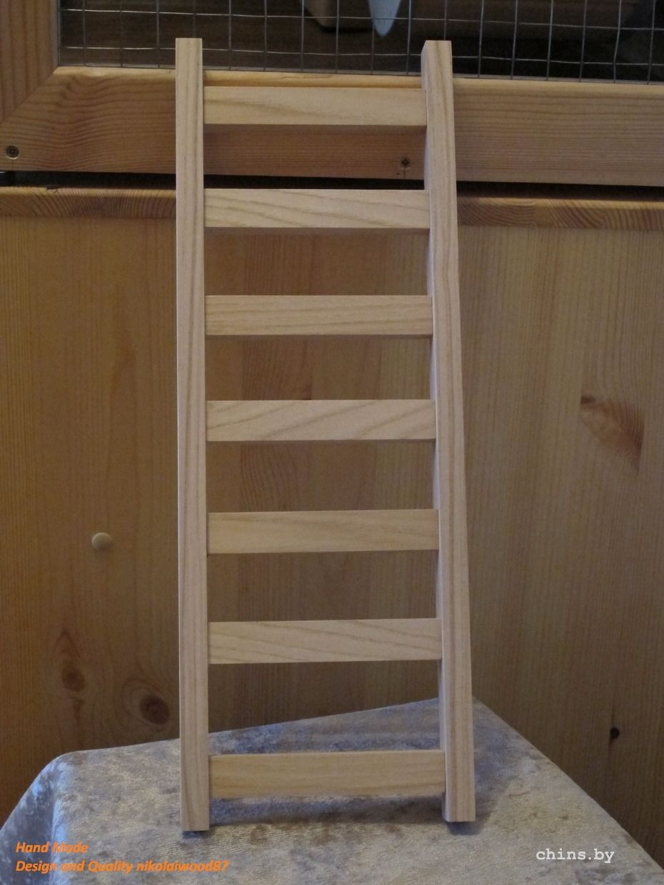 Лесенка, ясень.jpg