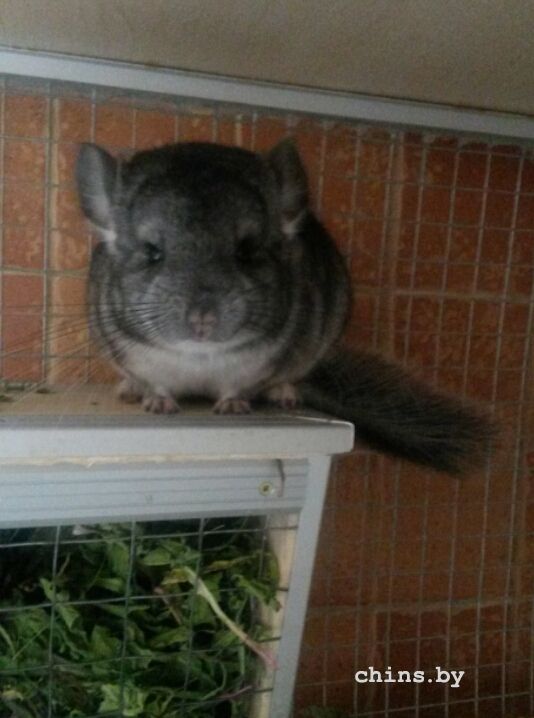 2016-05-20 18.00.19.jpg