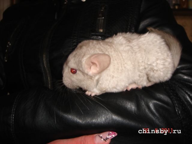 Изображение 1440.jpg