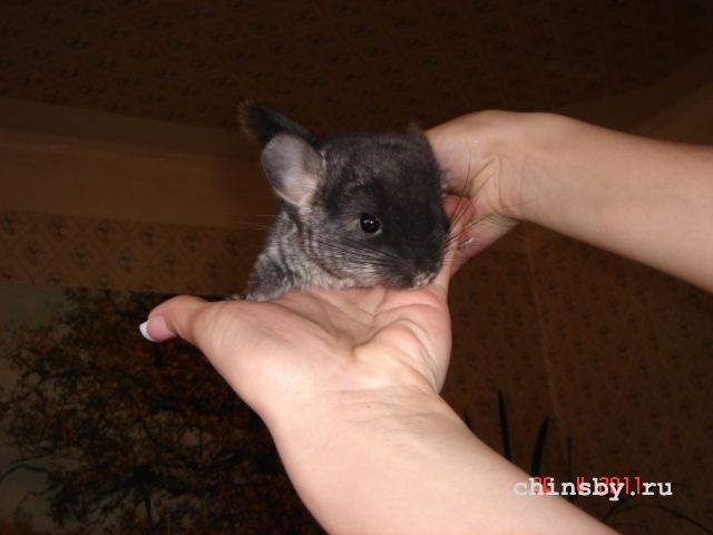 Изображение 1446.jpg