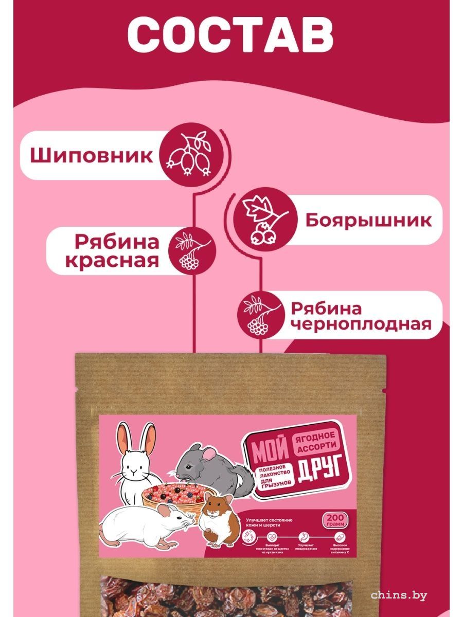 jagody1.jpg jagody1.jpg