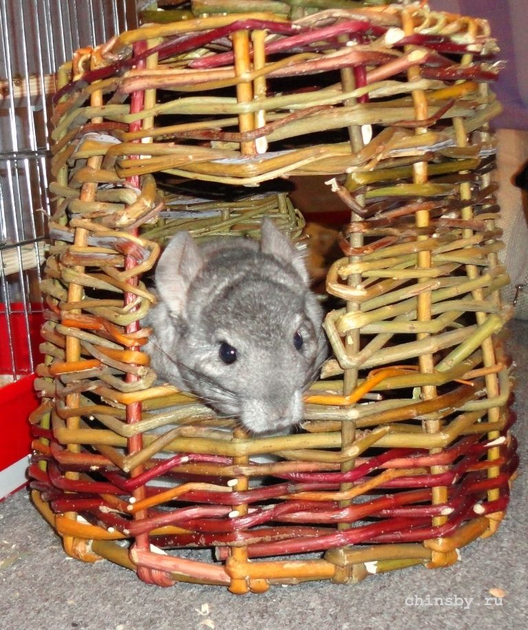 мой дом- моя крепость.JPG