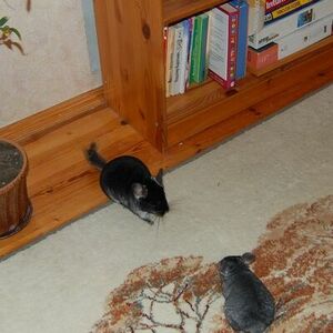 знакомство