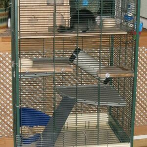 Родной дом 1