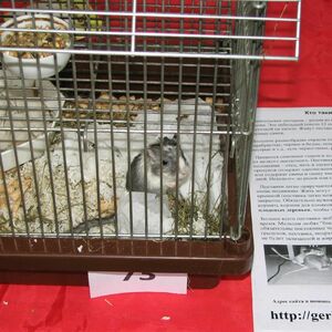 IMG_3431.JPG