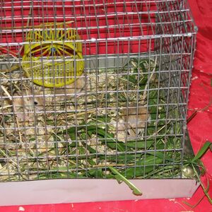 IMG_3448.JPG