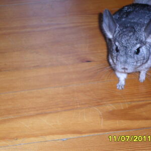 SAM_0378