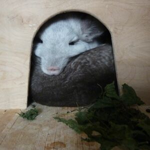 Хорошо быть как за каменной стеной