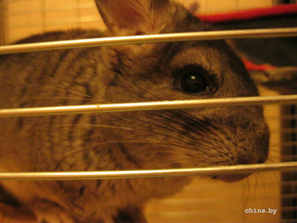 Изображение 042