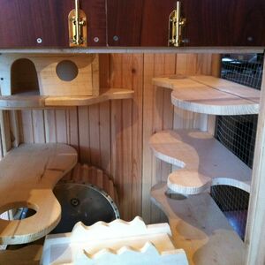 Все полки сделаны из ели._thumb