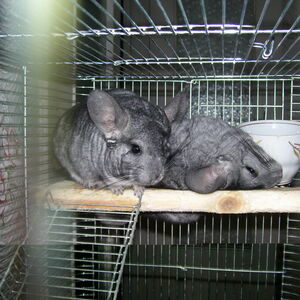 Изображение 128